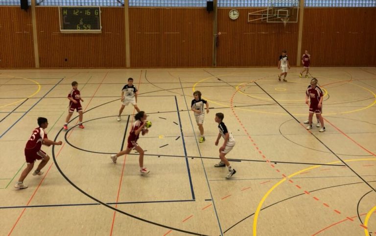 Männl. D-Jugend: Duell um die Spitze in Sulzbach