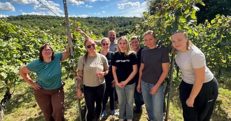 Von der Halle in den Weinberg 💪🏻🍇